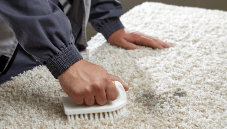 Professional Rug Cleaning Lethbridge